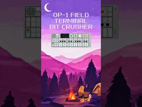 The #TerminalBitCrusher update on the #OP1Field let's you get that classic 8-bit sound we all love 👾