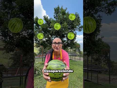 Mis sandías desaparecieron!!!🍉🤯😭