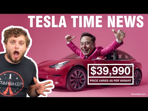 Get This Tesla For Under ,000 | Tesla Time News 407