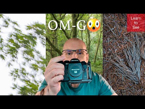 Micro Four Thirds and what happens when you leave the heavy gear behind?