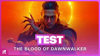 Vid�o-test sur The Witcher 
