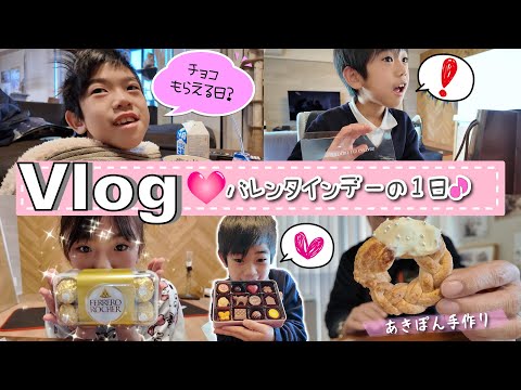 ★Vlog★バレンタインデーにぎんはチョコをもらえたのかな・・・？