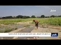 من الحقول إلى الأسواق جهود لتعزيز حضور المنتج الزراعي المحلي بالمهرة