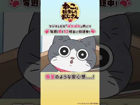 ねこと箱