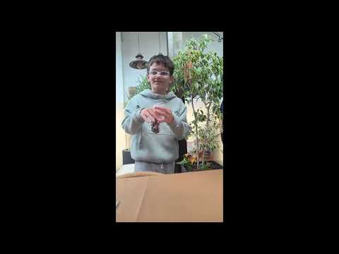 Santi, Beni y JuanRo buscando los conejitos de Pascua