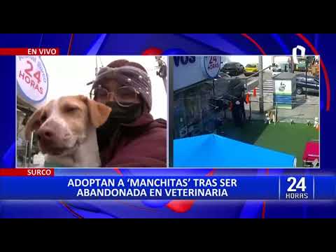 Surco: Adoptan a manchitas, perrito que fue abandonado por su dueña en veterinaria