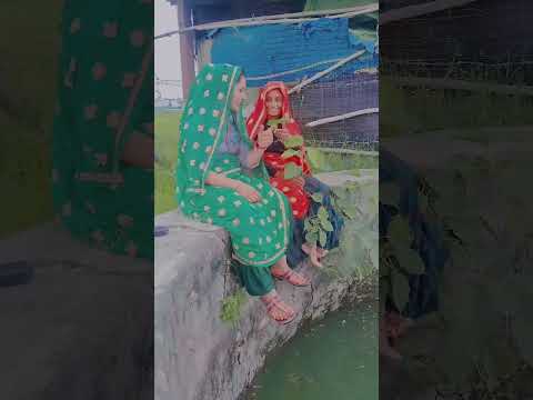 सैन्दो बैठ कुआं का पारा प बचाव सौ को नोट #kaludevtanewsong2025 #manrajdiwananewsong2025