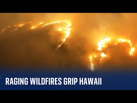 Hawaii: Wildfires fanned by strong winds wreak havoc