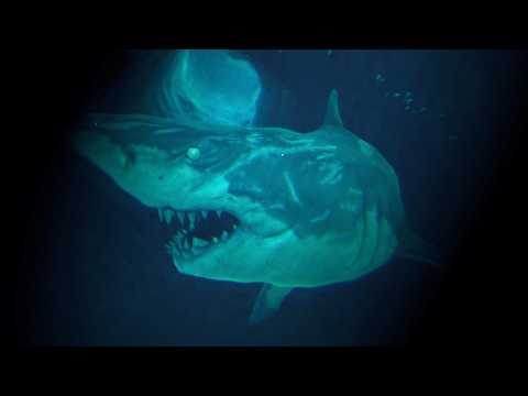 深海で「人喰いザメ」に襲われるホラーゲームがヤバすぎた - ゆっくり実況 【SharkPhobia】