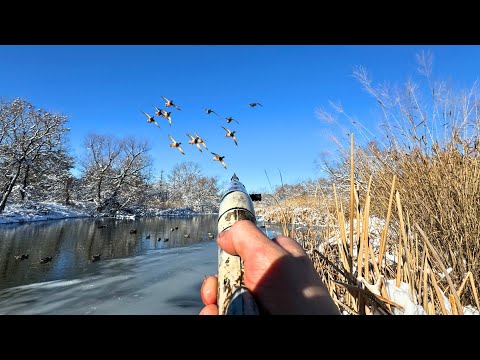 DUCK HUNTING A 10 Yard Wide Creek | TIGHT DECOYING Mallards
