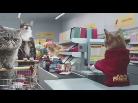 Meme Kucing Terkenal Disatukan Dalam Iklan Video Pasaraya di Jerman