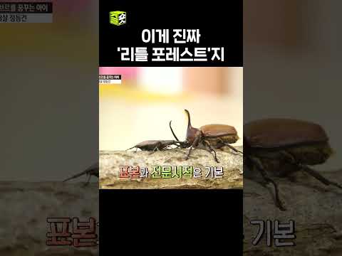 방 안에 숲이?! #영재발굴단  #우와한비디오 #우와비 #shorts