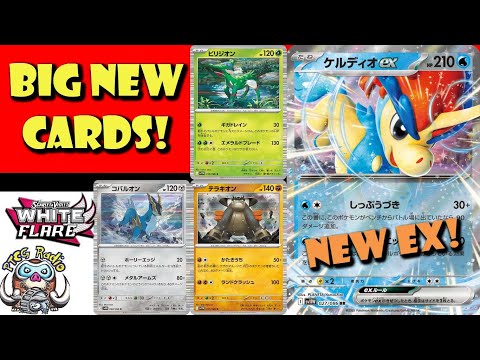 Pokemon TCG News