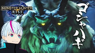 【MHRise】ゴシャハギ初見！包丁二刀流がかっこよすぎる！