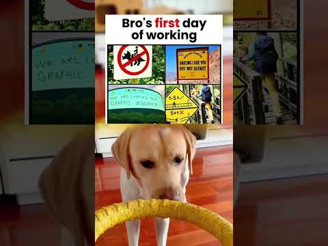 #memes #story #dog #shorts #pets