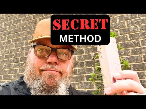 Secret Revealed! ALTERNATIVE Repot Method Secret Revealed! ALTERNATIVE Repot Method uncovers hidden technique that helps recovery and growing 