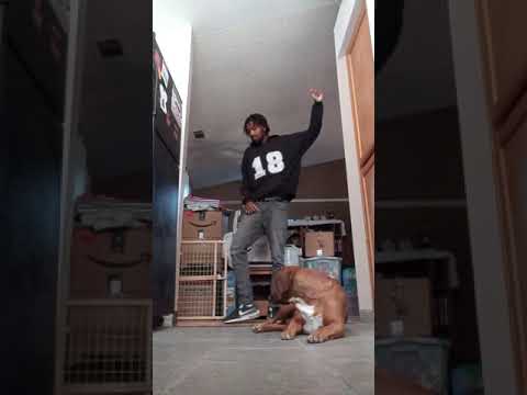 Kvng Wolff: DC Young Fly & Fetty Wap- No Choice (dance video)