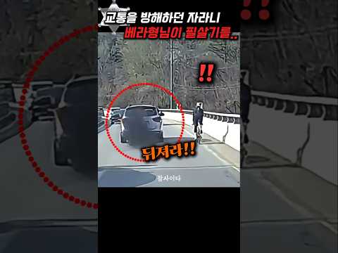 교통을 방해하던 자라니에게 베라형님이 한방을 멕이는데..