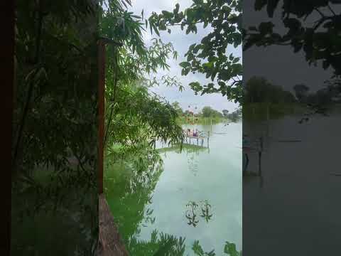 Trải nghiệm cắm trại câu cá 2 ngày 1 đêm bãi Mia Camping Hồ Trị An #ducauky #caucacamtrai #tunhien