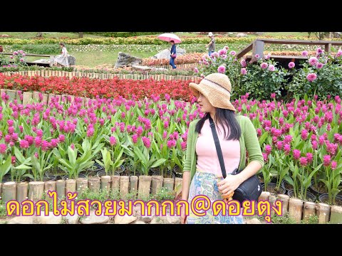 Ep2-สวนแม่ฟ้าหลวง-ดอยตุง-บ้านผ Ep2-สวนแม่ฟ้าหลวง-ดอยตุง-บ้านผ