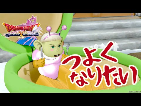 【DQ10】つよくなりたいんだ　少しでも【初心者大使】　※ネタバレ注意