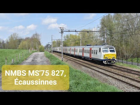 4K | NMBS MS'75 827 en 823 arriveren in Écaussinnes als IC-trein naar Binche!