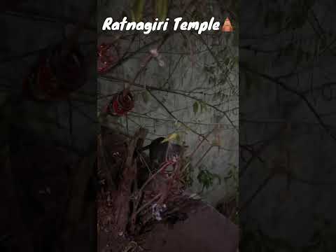 Ratnagiri Arulmigu Murugan Temple, Vellore #travel #minivlog #vellore #vlog #Temple #murugantemple