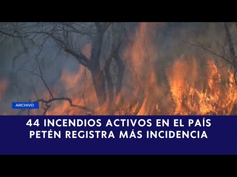 44 incendios activos a nivel nacional, Petén registra la mayor incidencia con 14