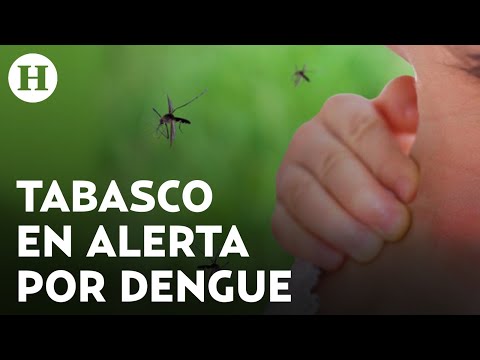 Tabasco registra récord histórico en contagios de dengue con más de dos mil casos