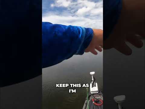 Catch Bass: The SECRET Frog Lure Walking Trick! #shorts