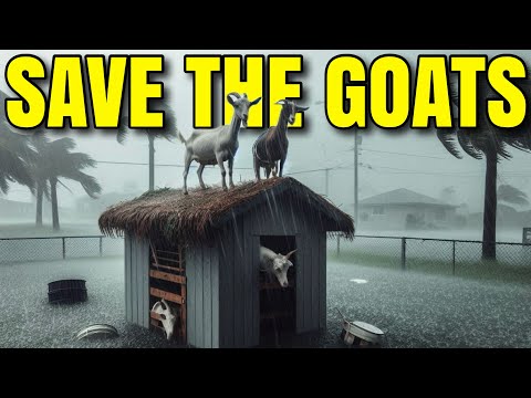 OPERATION: SAVE THE GOATS w/ Lummy & Colton