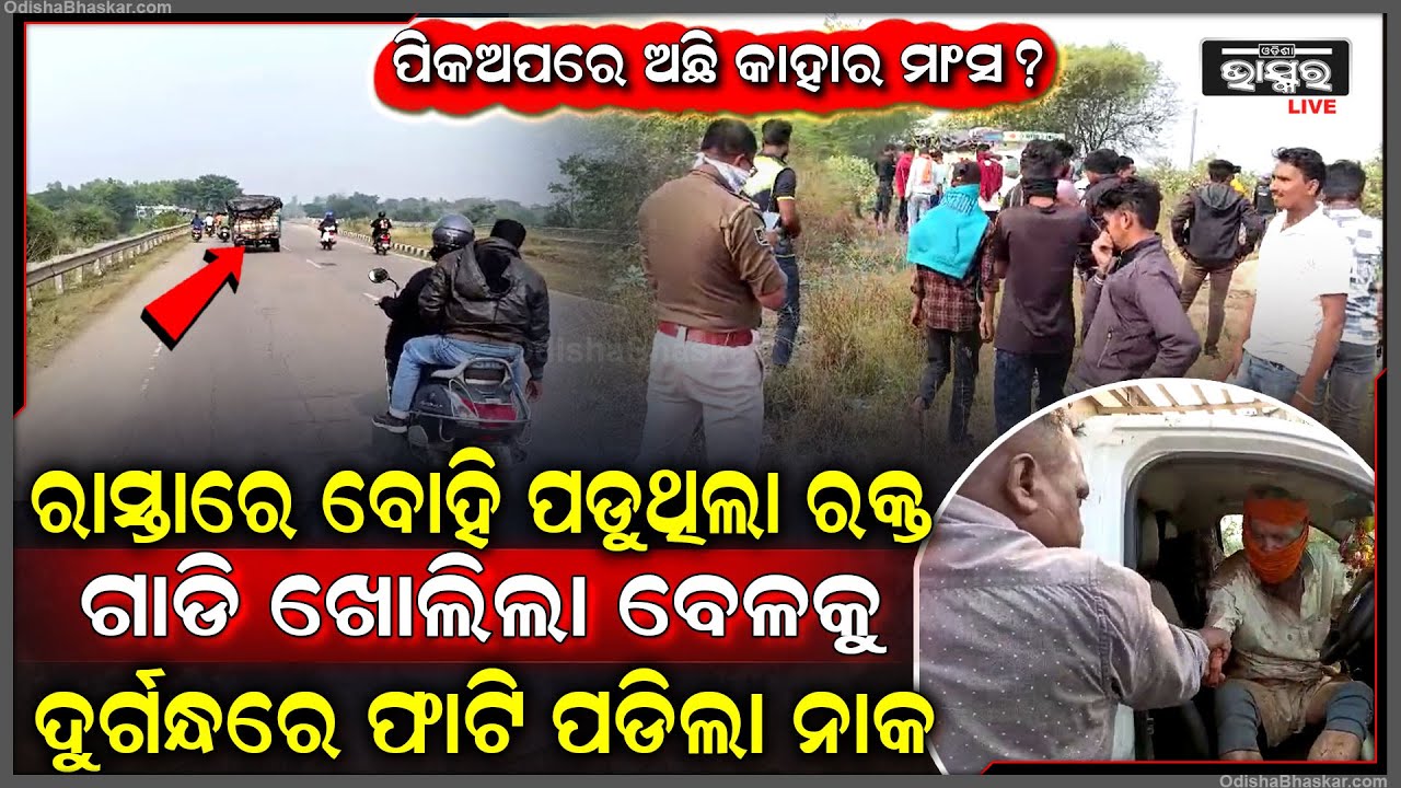 ପିକଅପ୍‌ରେ ଅଛି କାହାର ମାଂସ , ରାସ୍ତାରେ ରକ୍ତ ବୋହି ଯାଉଥିବା ବେଳେ ଧରିଲେ ଲୋକେ ,ଗାଡି ଖୋଲିଲା ବେଳକୁ ....