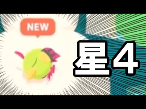 イベント中におなかの上回収していくううう！！！！【ポケモンスリープ】