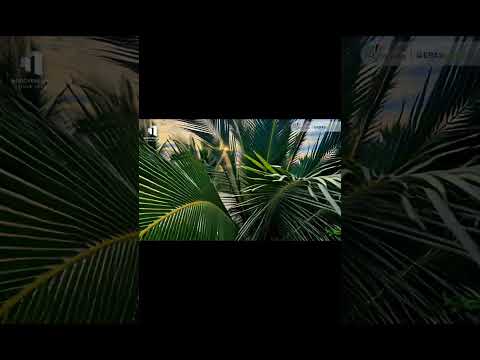 Sống giữa thiên nhiên – nhưng vẫn trong đẳng cấp! #ngocvenland #costamigo #erasland #phanthiet