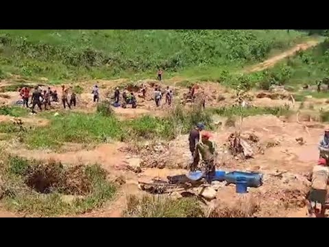 Coligalleros volvieron a la mina Crucitas tras salida de la policía