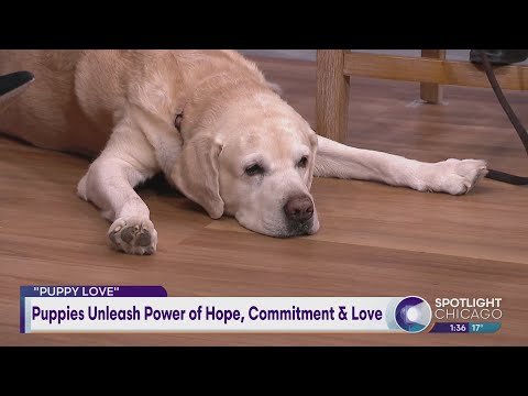 Puppies Unleash Power of Hope, Commitment & Love