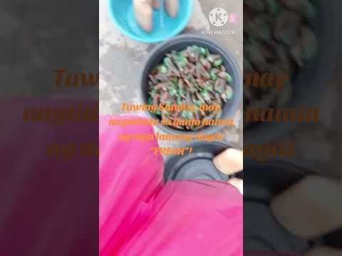 Mamalengke tayo madaming lamang dagat. #affiliates #promotional #tiktoklifestyle #fyp #teachers