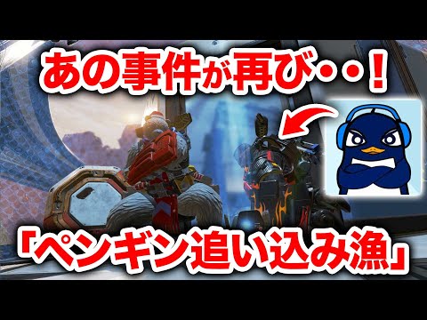 【APEX LEGENDS】あの事件が再び！「ペンギン追い込み漁」【エーペックスレジェンズ】