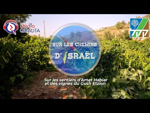 Sur les sentiers d’Amat Habiar et des vignes du Gush Etzion - KKL