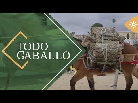 TodoCaballo | Arrieros, un oficio histórico en peligro de extinción