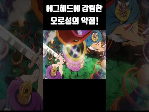 에그헤드에 강림한 오로성의 치명적인 약점! #원피스 #onepiece