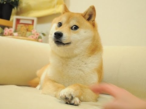 유튜브 컨텐츠 정리중 🧹