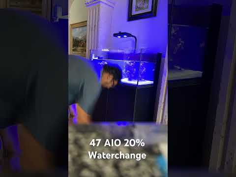 47 AIO All in One waterchange#ancientdashaquatics 