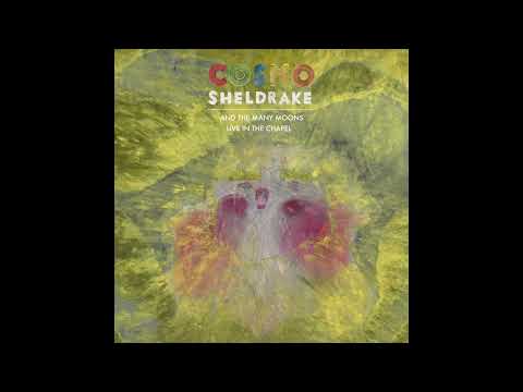 Cosmo Sheldrake - Interdimensional (Live in the Chapel)