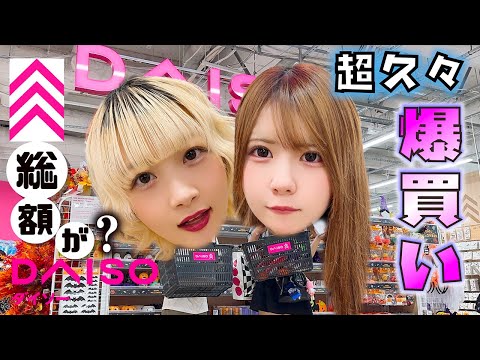 【爆買い】超お久しぶりのDAISO（ダイソー）で姉妹ショッピングな総額が…【のえのん】