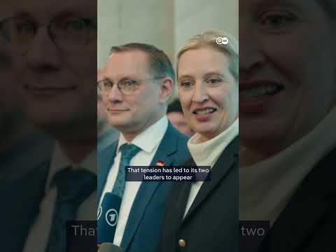 Russia rift rocks Germany's AfD | DW News