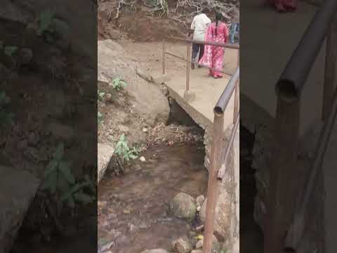 #newvideo #waterfall #climate #tourism #place #andhrapradesh #2024