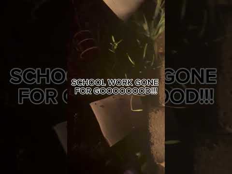 BOYS AND GIRLS WE MADE IT #graduation #nomoreschool #summervacation