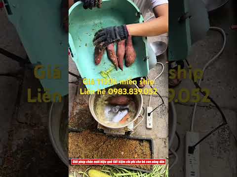 Máy xay thức ăn cho gia súc #maytronthucanchannuoi #channuoi #farming #maynghiencam #agriculture