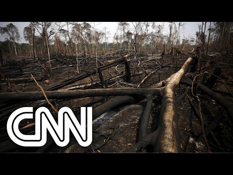 Líderes prometem acabar com o desmatamento até 2030 | JORNAL DA CNN